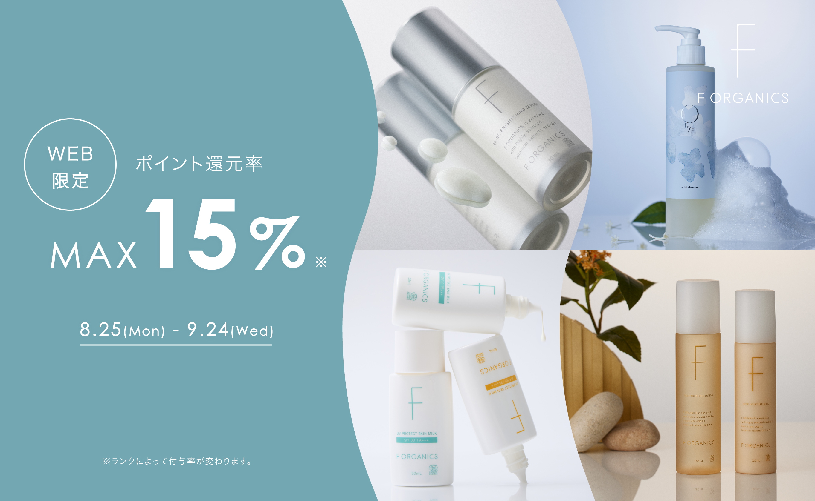 ポイントバック