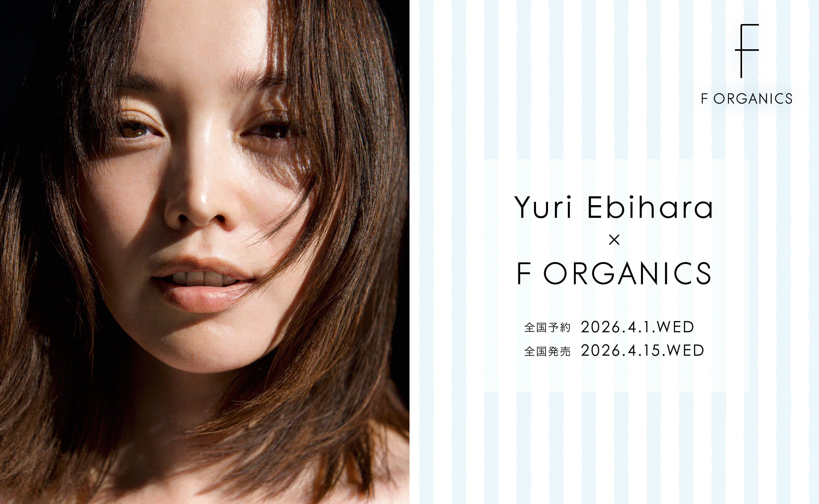 蛯原友里コレクション