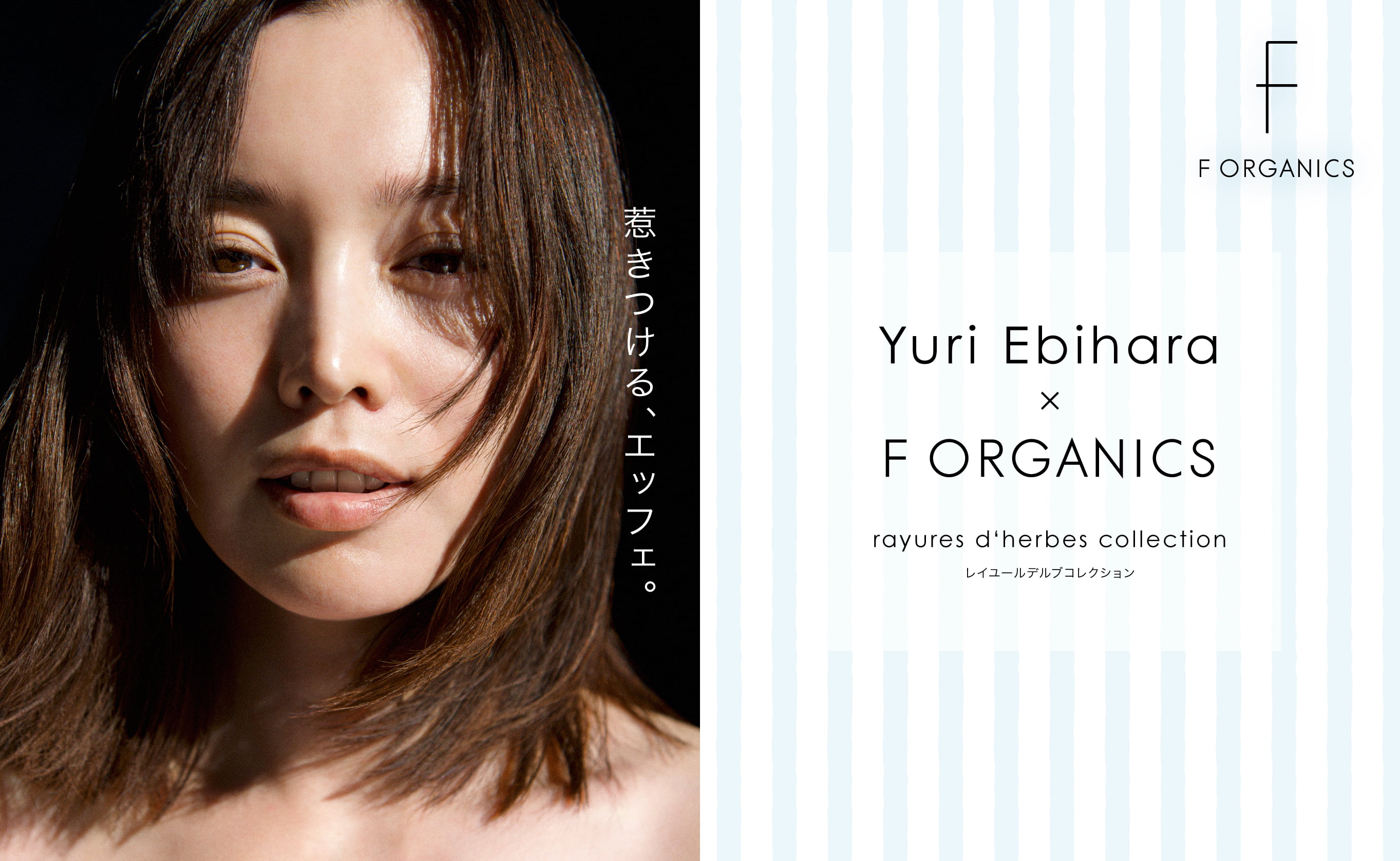 蛯原友里コレクション