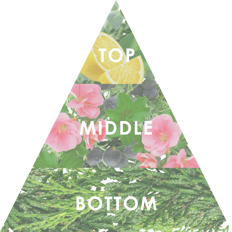香りのピラミッド：TOP/MIDDLE/BOTTOM